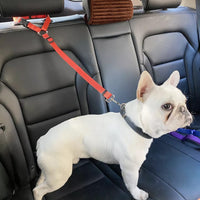 Correa Asiento Seguridad Pet