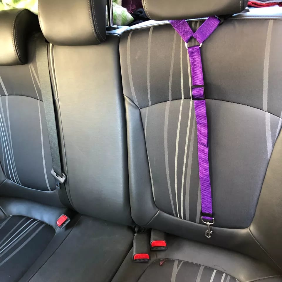 Correa Asiento Seguridad Pet