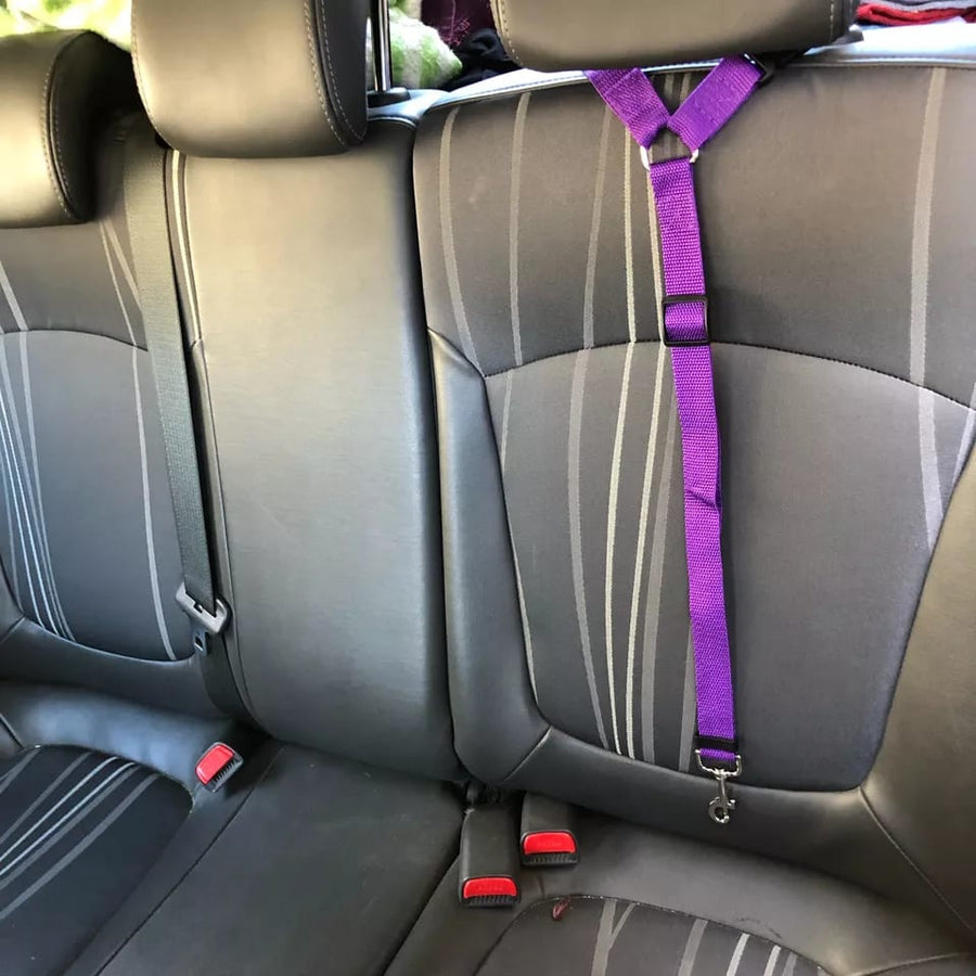 Correa Asiento Seguridad Pet