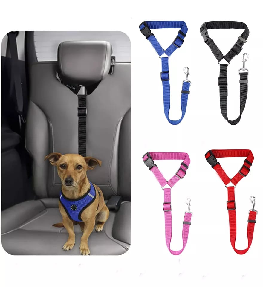 Correa Asiento Seguridad Pet