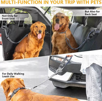 Correa Asiento Seguridad Pet