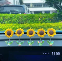Girasol 5pcs