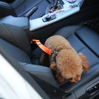 Correa Cinturon de Seguridad Pet Coche