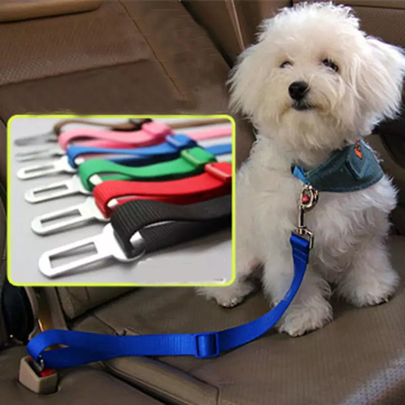 Correa Cinturon de Seguridad Pet Coche