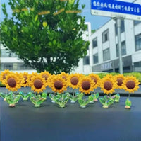 Girasol 5pcs