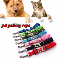 Correa Seguridad Car Pet