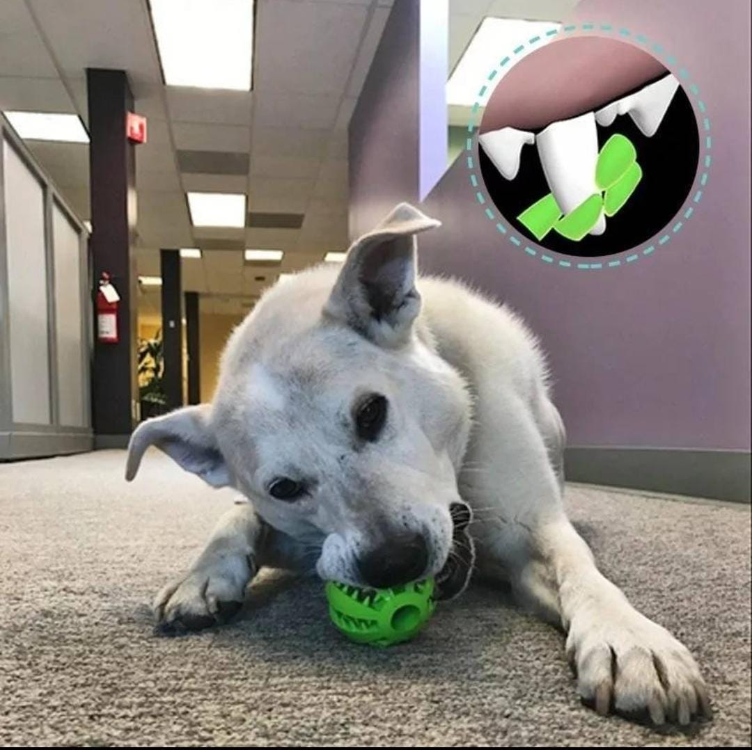 Pelota Premio Pet