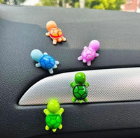 Turtle 5pcs