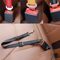 Correa de Seguridad Pet Auto Retractil