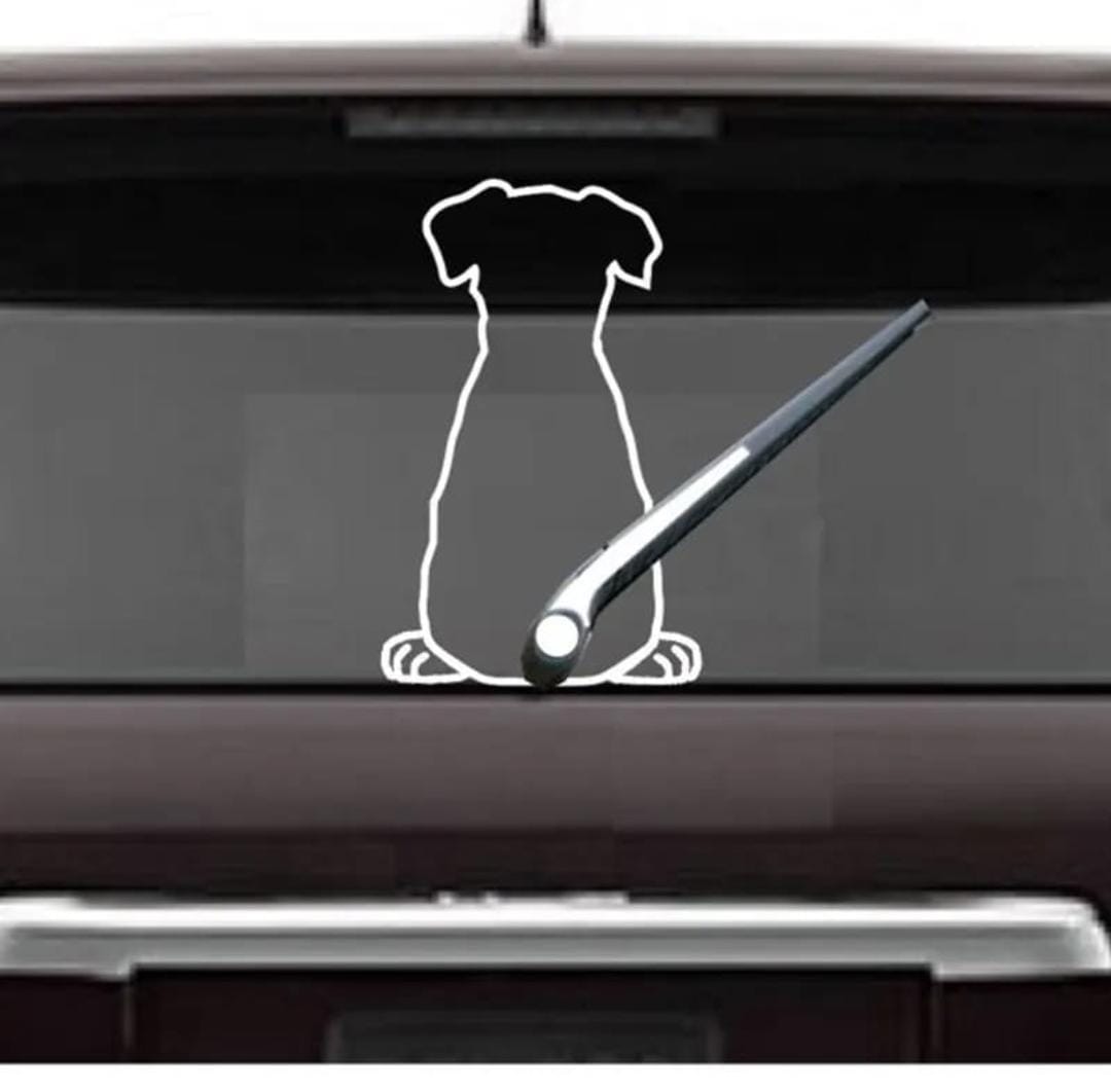 Dog Parabrisas
