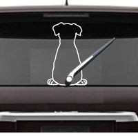 Dog Parabrisas