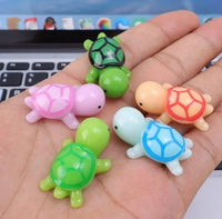 Turtle 5pcs