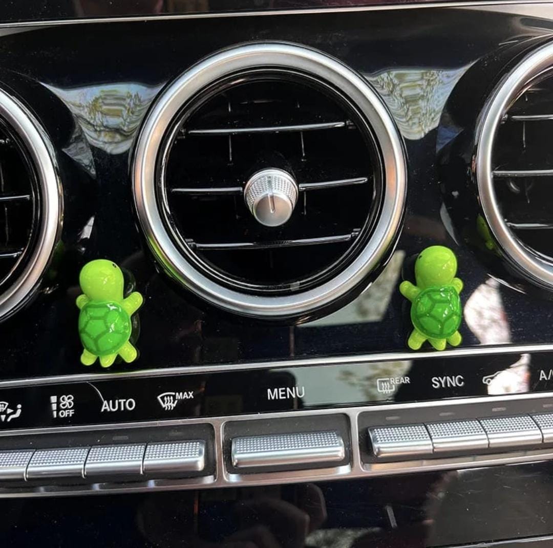 Turtle 5pcs
