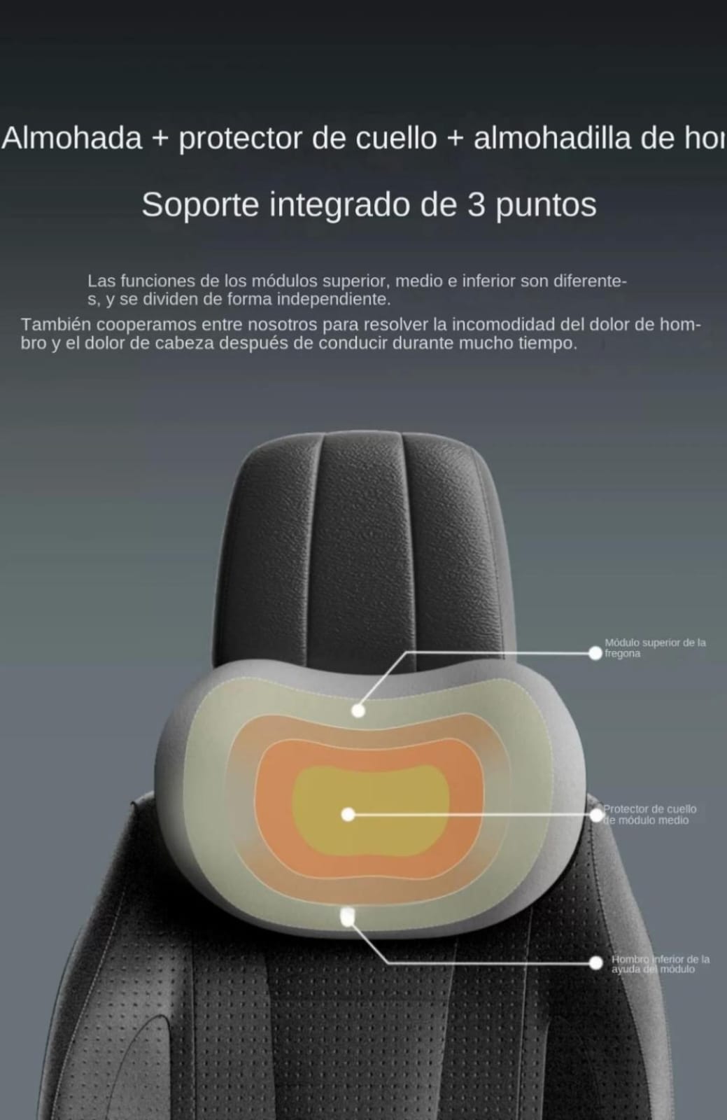 Cojín Cuello Asiento Almohadilla