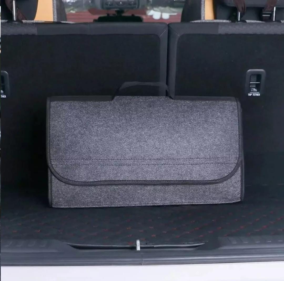 Organizador coche almacenamiento