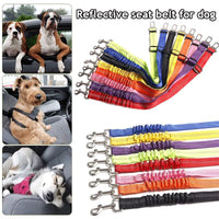 Correa de Seguridad Pet Auto Retractil