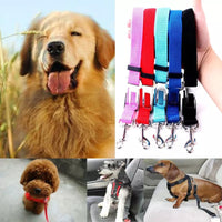 Correa Cinturon de Seguridad Pet Coche