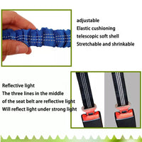 Correa de Seguridad Pet Auto Retractil