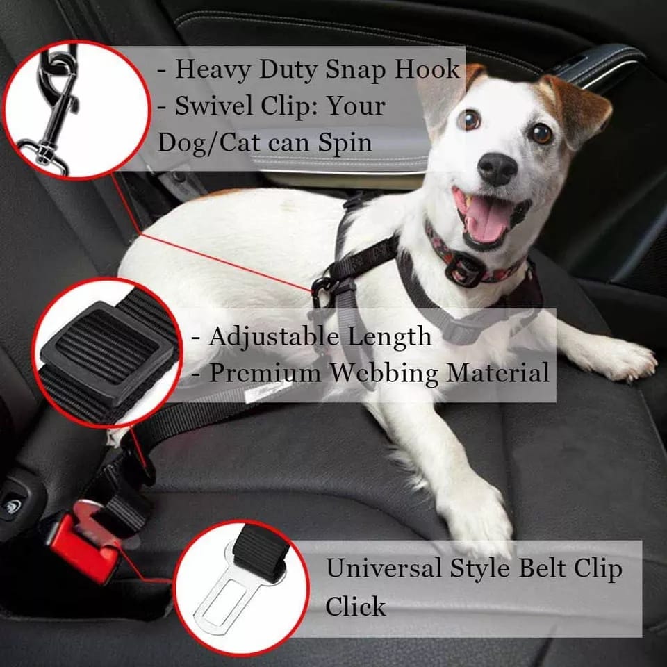 Correa Seguridad Car Pet