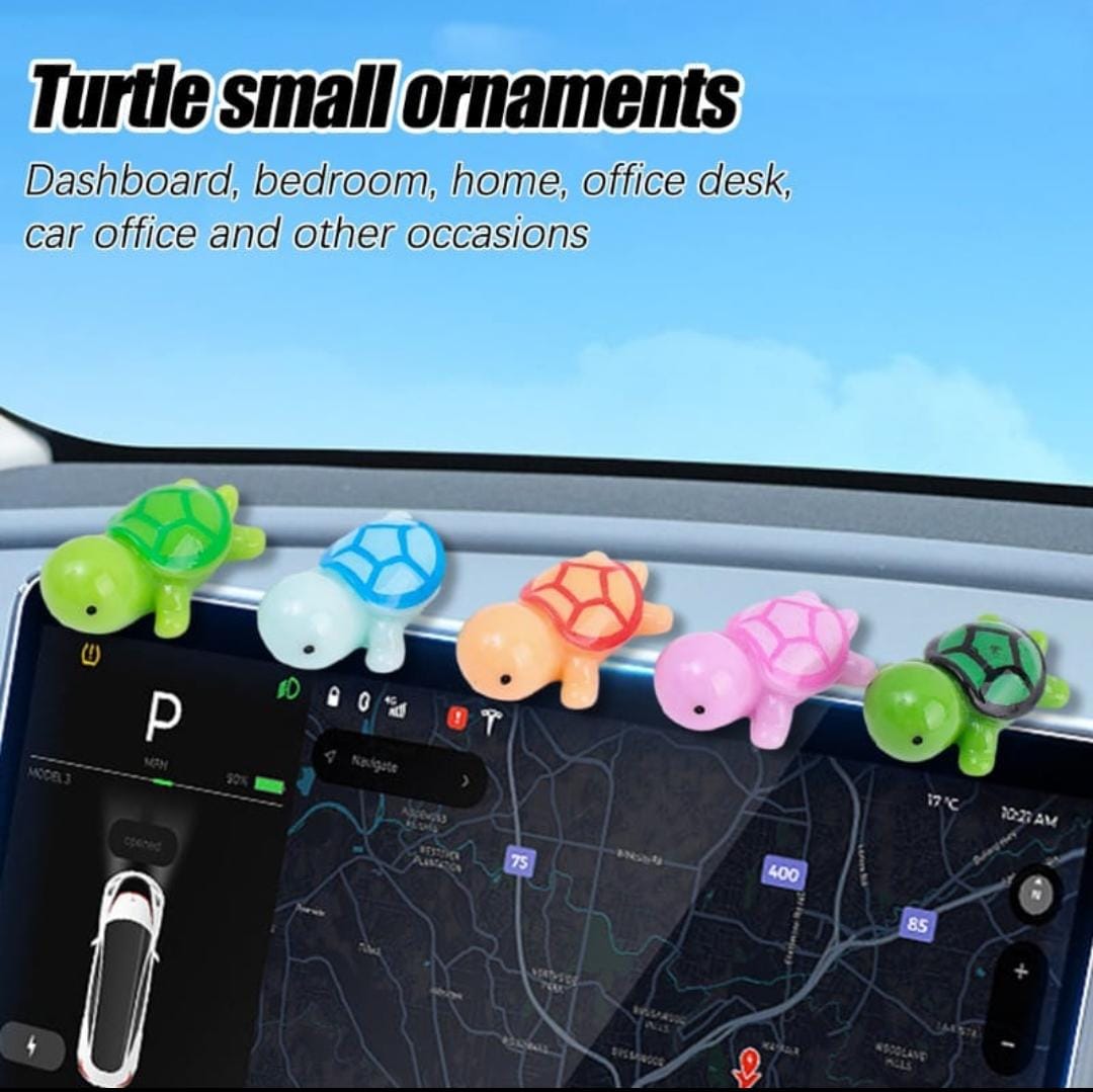 Turtle 5pcs