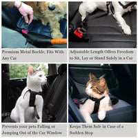 Correa Seguridad Car Pet